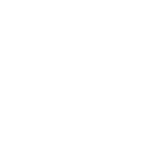 NOODLE