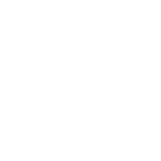 FRIED RICE BOWL