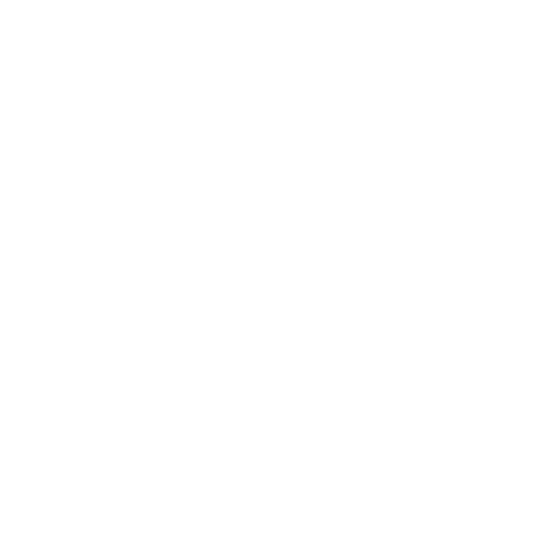 TOPOKKI
